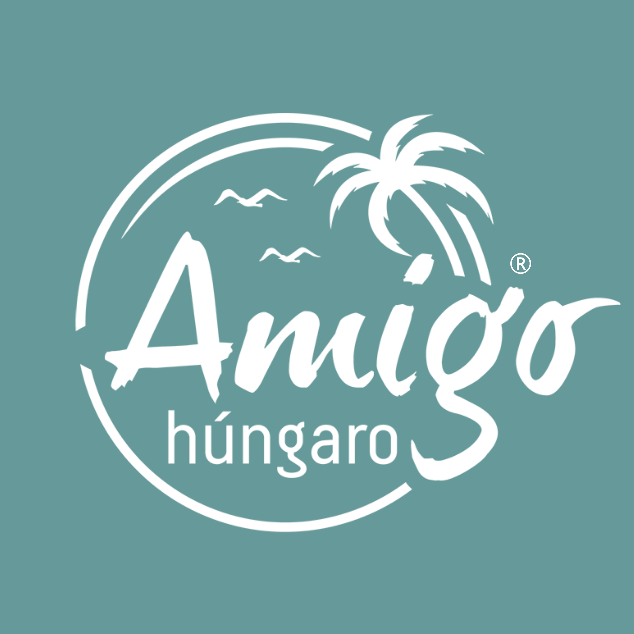 Amigo Húngaro