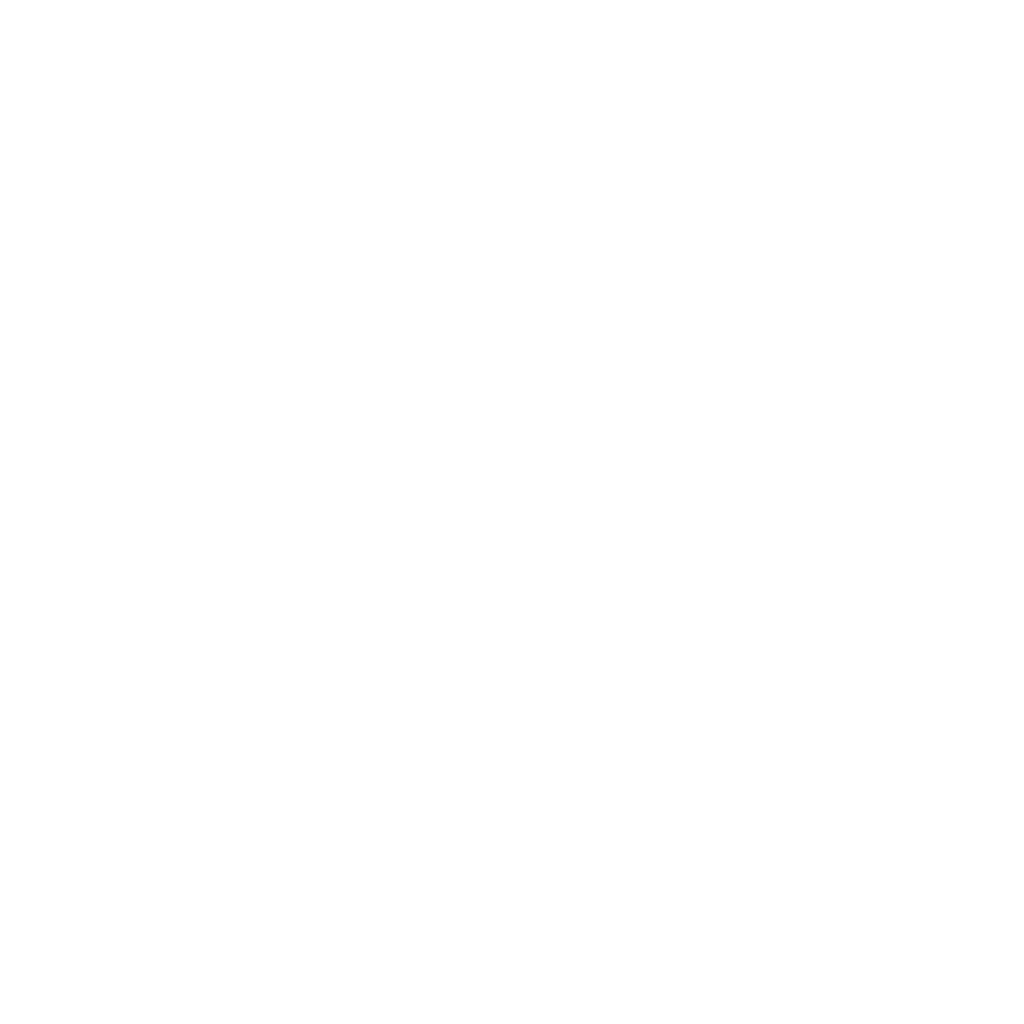 Borgström Finds