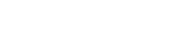 Grupo Satli