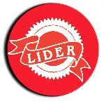 Lider Inmobiliaria y Consulting