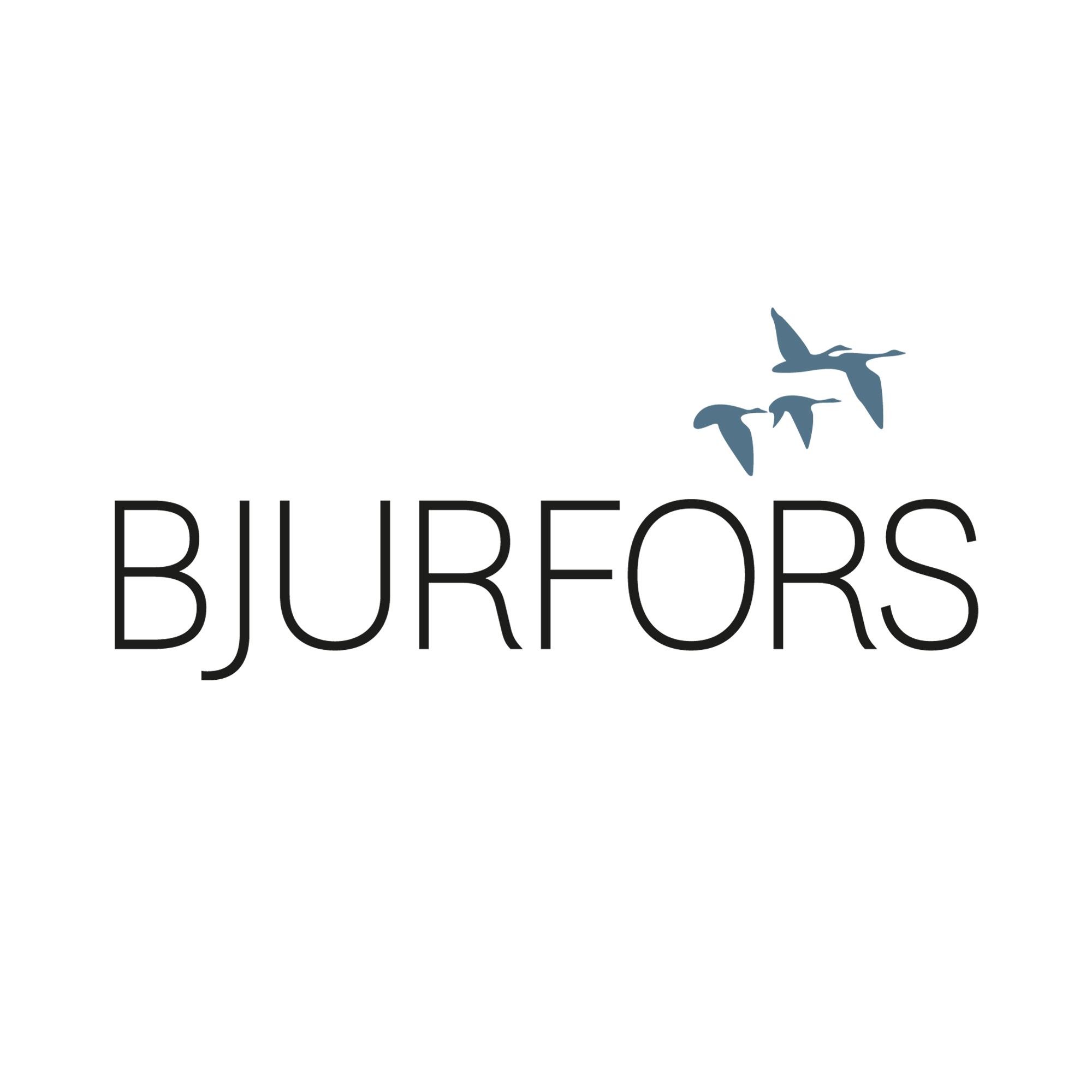 Bjurfors Real Estate Nerja