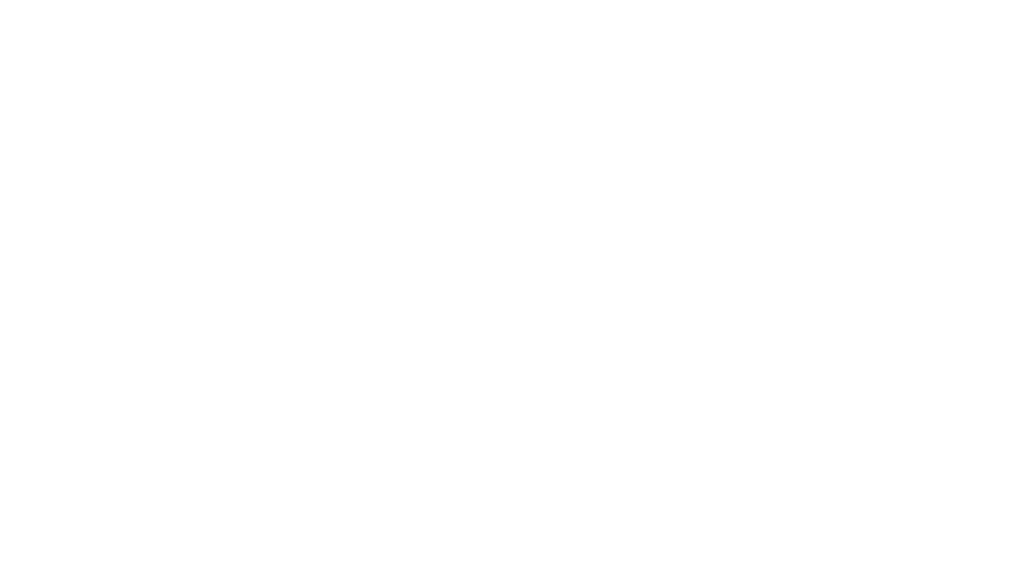 Karina Karlsen International